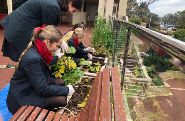 458762467_1041833931278842_4850614861500684650_n