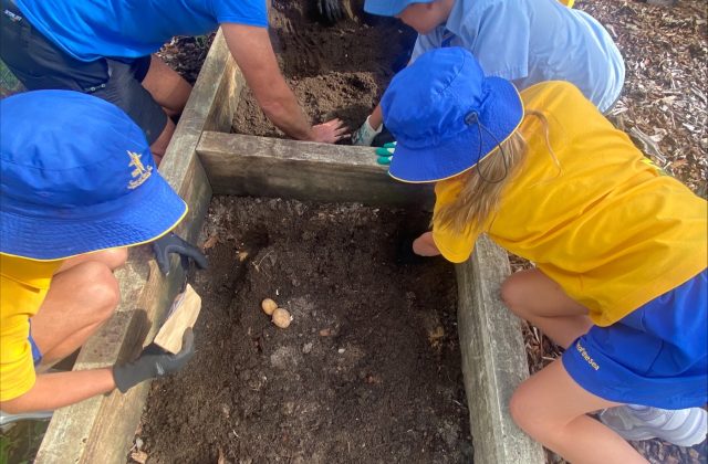 Star of the Sea Catholic Primary